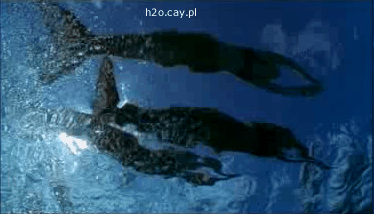 22549602.gif